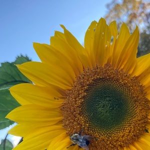 Meet your Posher, Kendall